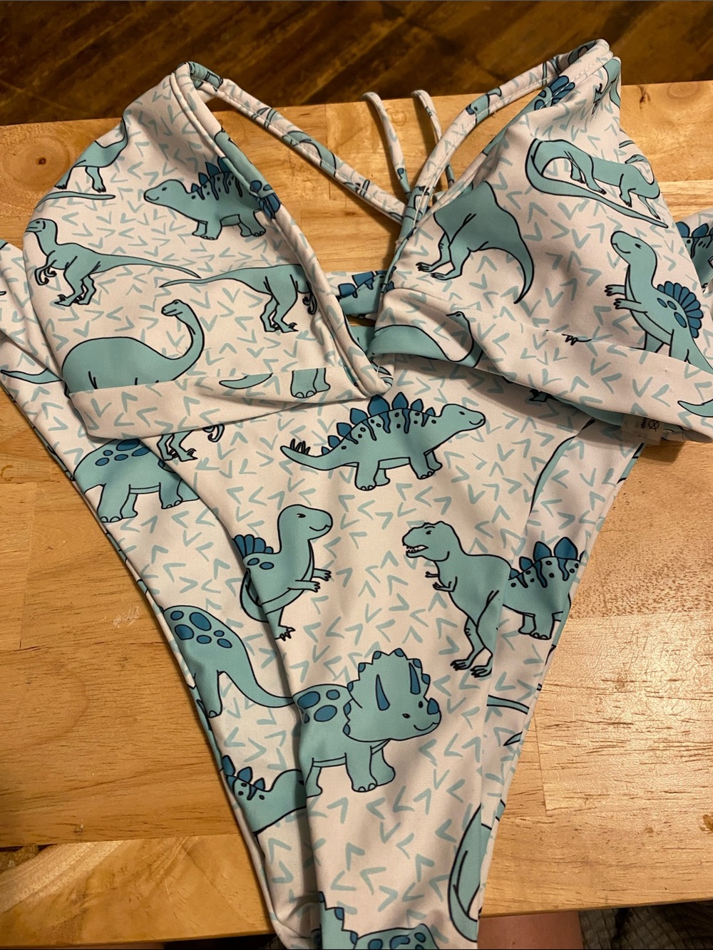 Cute Blue Dinosaur Print Bikini Set